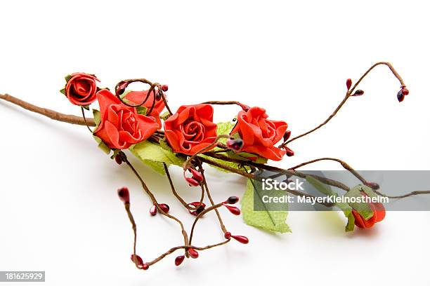 Photo libre de droit de Rose Rouge Branch banque d'images et plus d'images libres de droit de Brindille - Brindille, Capitule, Composition florale