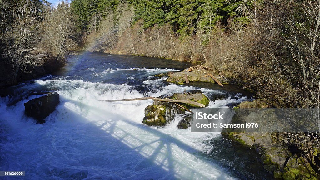 Blanco del río salmón - Foto de stock de Río White Salmon libre de derechos
