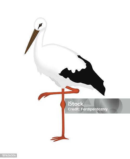 Cigogne Sur Fond Blanc Vecteurs libres de droits et plus d'images vectorielles de Cigogne - Cigogne, Illustration, Aile d'animal