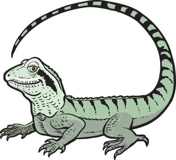 Vector illustration of Tropical Lizard