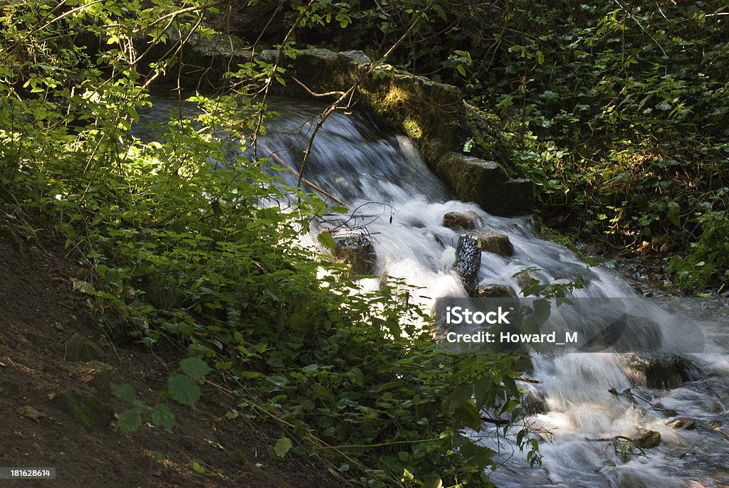 Ruscelli brook - Foto stock royalty-free di Acqua