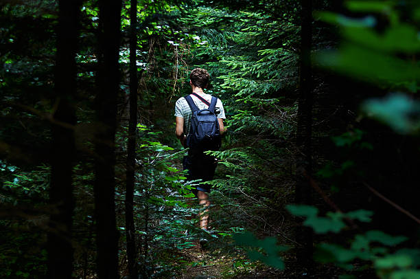 istock Hiking in the forest 181628998