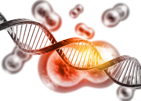 Human DNA strand on scientific background. 3d illustration