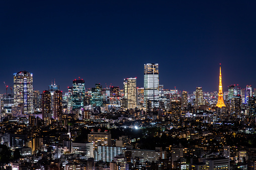 Panorama of Tokyo with the Tokyo tower illuminated at night. Japan.