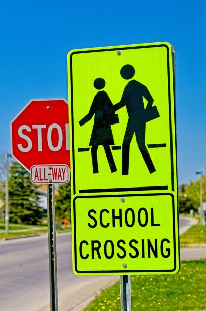 istock School Crossing and Stop Sign 1816303704