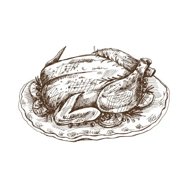 Vector illustration of Hand-drawn sketch of baked turkey, chicken with rosemary, berries and lemon. Vector food drawing. Traditional Christmas, Halloween food. Illustration for packaging, label, recipe, menu.