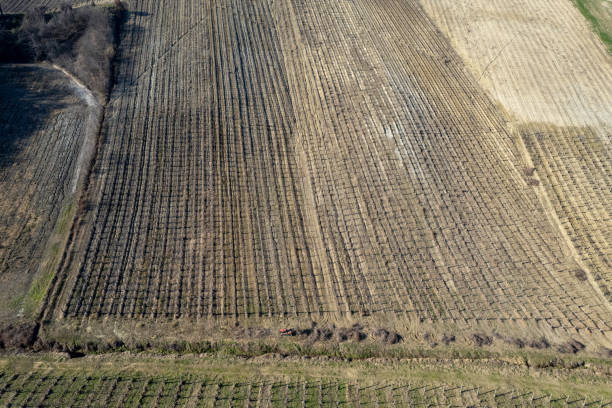 istock aerial drone photo crawled tractor working through wine yards rows during winter time in Arda Valley 1816319426