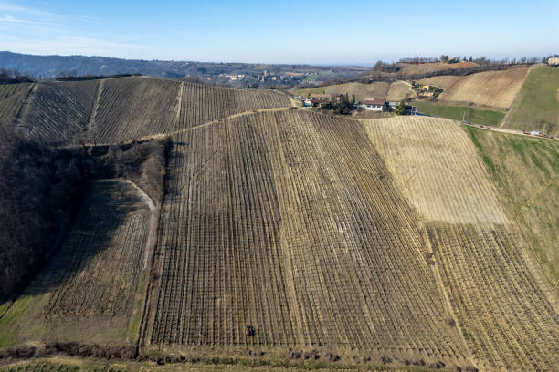 istock aerial drone photo crawled tractor working through wine yards rows during winter time in Arda Valley 1816319431
