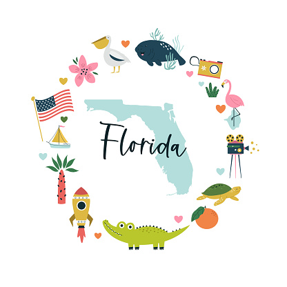 Colorful composition, circle design with famous symbols, animals of Florida state, USA. Vector illustration for wall art, prints, posters, travel magazines.