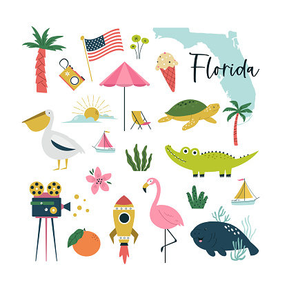 Colorful composition, circle design with famous symbols, animals of Florida state, USA. Vector illustration for wall art, prints, posters, travel magazines.