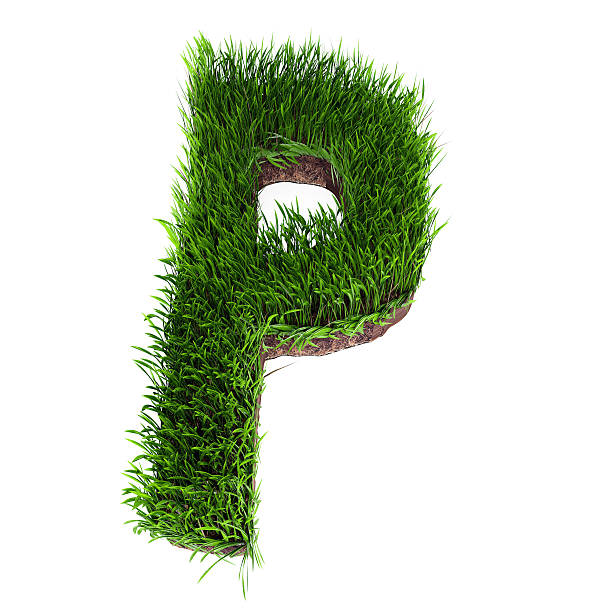 Grass letter P stock photo