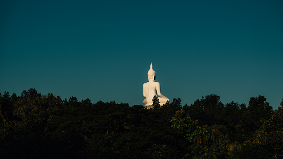 Lord buddha's statue high up in the hills