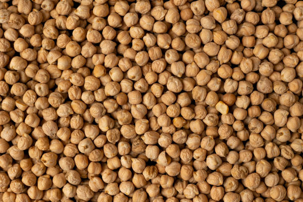 istock Texture of dry chickpeas 1816346404