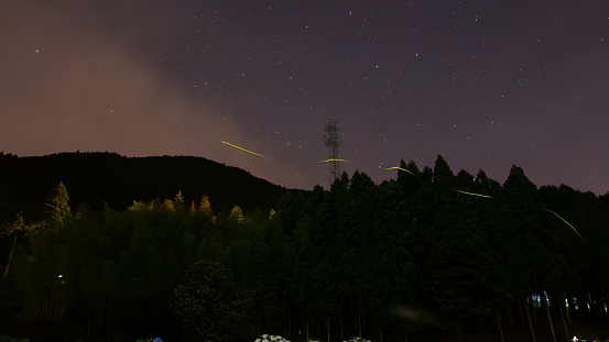 Fireflies crossing a pile of steel pylons