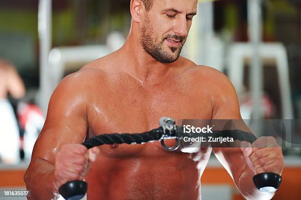 Athletic Bodybuilder Realizar Ejercicio En El Gimnasio Sport Hall Foto de stock y más banco de imágenes de Actividad