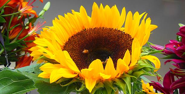 istock Bouquet of Flowers 181635681