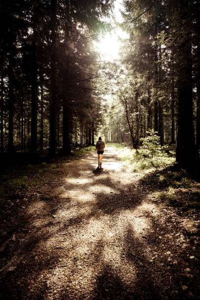 istock Hiker walks in the forest towards the sun 1816379119
