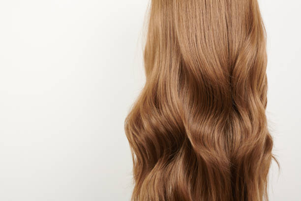 istock Natural looking shiny hair, brown curls isolated on white background with copy space 1816379651
