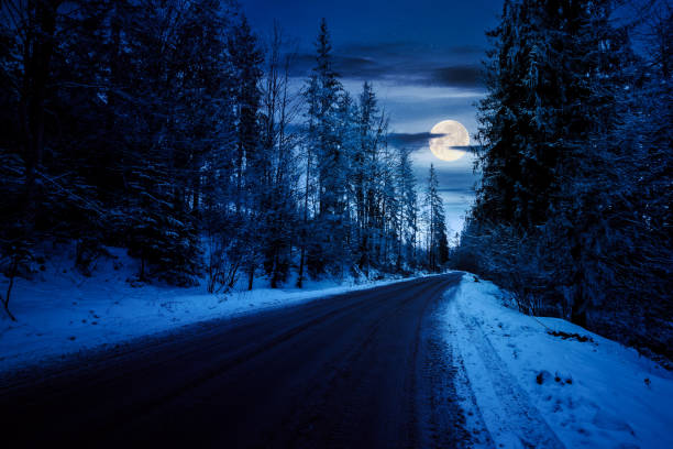 istock asphalt road through coniferous forest at night 1816395011