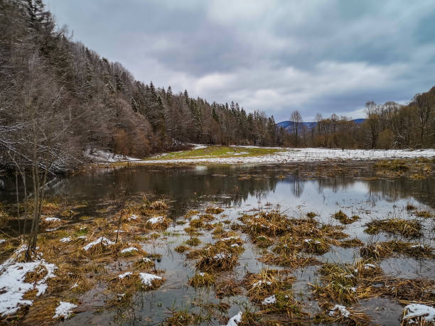 istock Spring landscape in a mountain forest with a huge puddle 1816398832