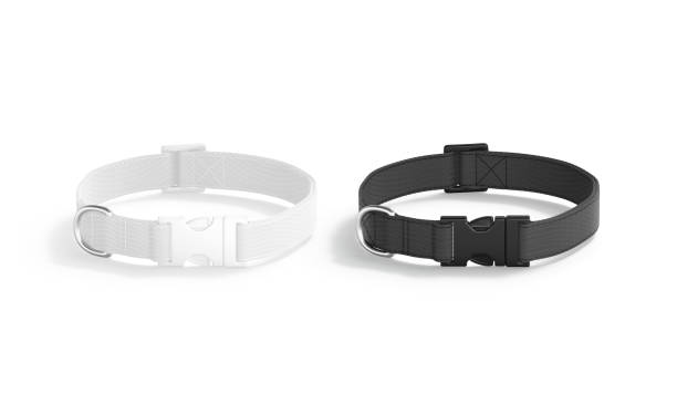 istock Blank black and white dog collar with plastic buckle mockup 1816406277