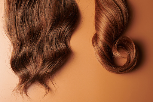 Natural looking shiny hair, lock of brown brunette colors curls isolated on orange background