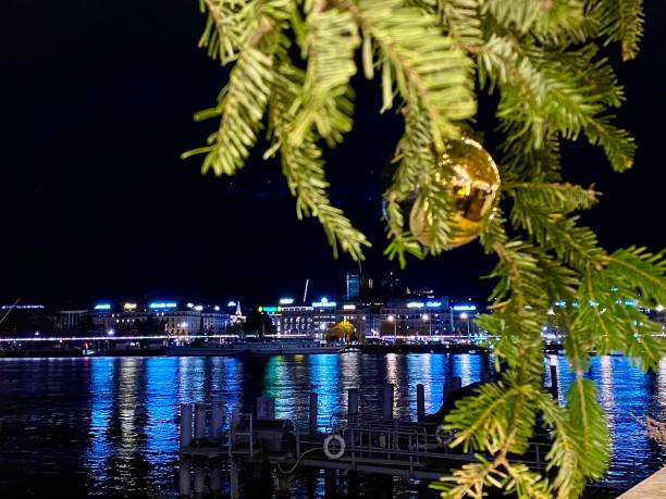 istock Switzerland- Geneva - Leman lake in december 1816410572