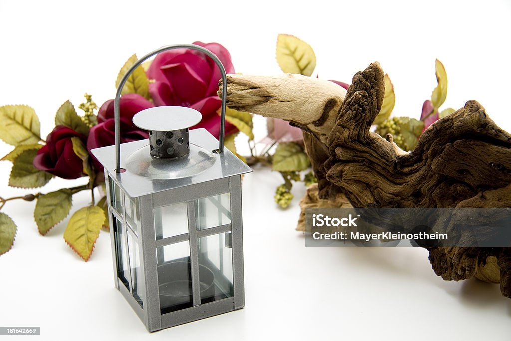 Coupe-vent léger avec arbre Racine - Photo de Brindille libre de droits