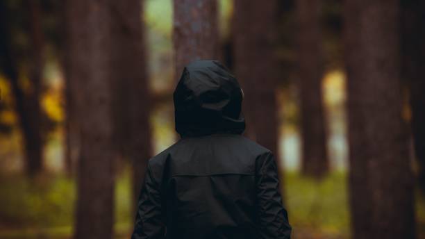 istock Person wearing a hooded jacket standing in a lush forest. 1816428251