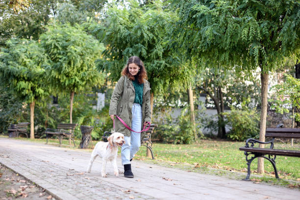 istock Woman walking her dog in a park 1816448103