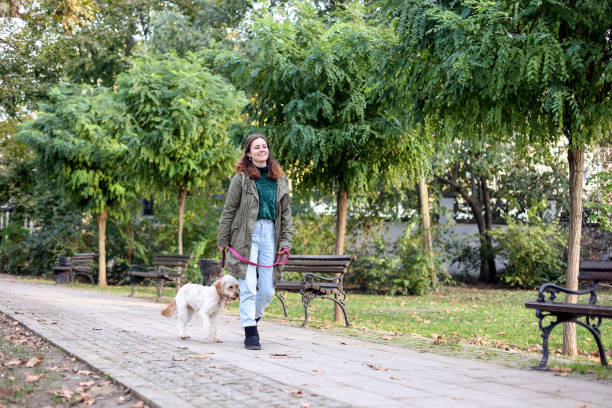 istock Young woman walking with her dog 1816448113