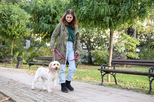 Young woman walking with her soft coated wheaten terrier dog in a park. About 25 years old, Caucasian female.