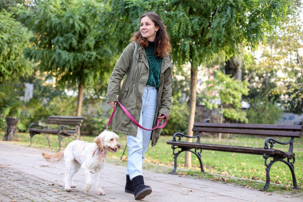 istock Smiling woman walking her dog 1816448137