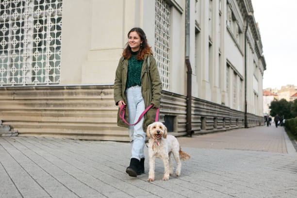 istock Young woman walking with her dog 1816448693