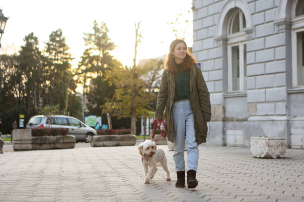 istock Young woman walking with her dog 1816448707