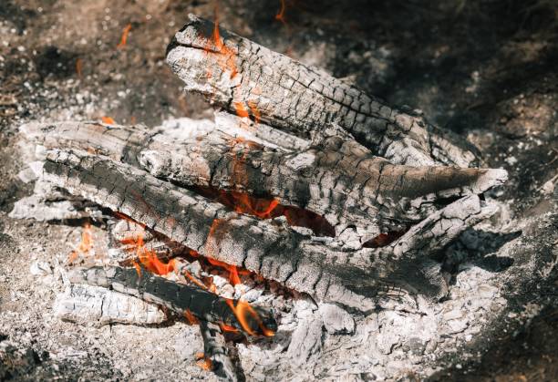 Fire. A bright flame. A breeze on the nature. Forest fires. Texture of smoking coals.