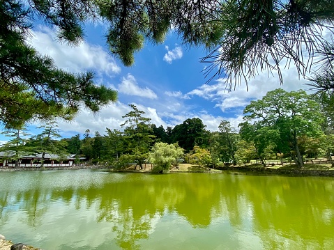 Japan- Nara - Pond in Nara Park