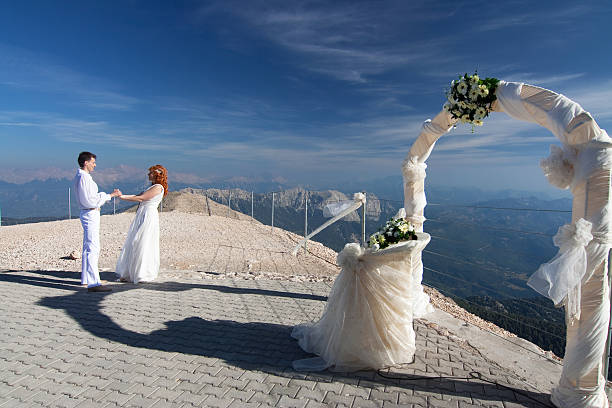 istock Newlyweds pose near the wedding arch 181647501