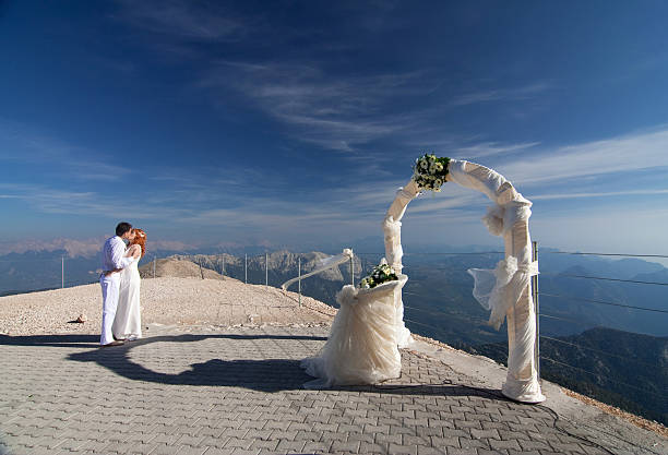 istock Newlyweds pose near the wedding arch 181647542
