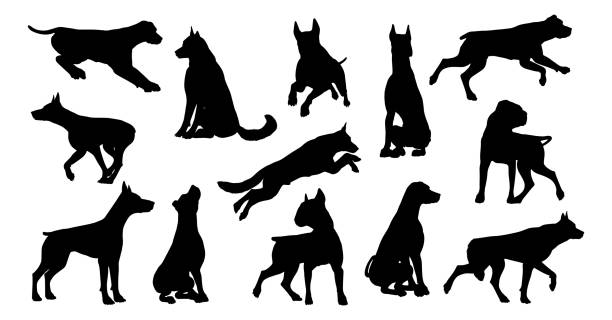 illustrations, cliparts, dessins animés et icônes de ensemble animal de silhouettes de chien - dalmatian rabbit