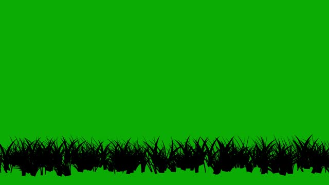 Silhouette grass motion graphics with green screen background