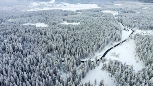 istock Aerial view of coniferous forest in the Thuringian Forest 1816528200