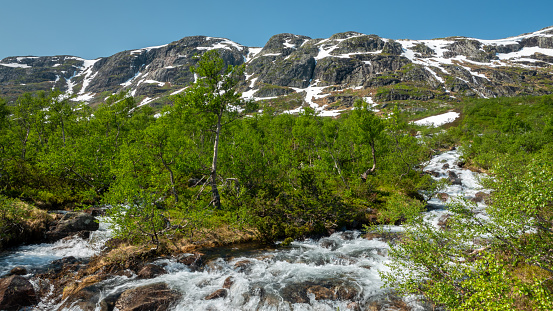 Mountain landscape with wildly flowing stream. Setesdal, near the town of Valle, in southern Norway
