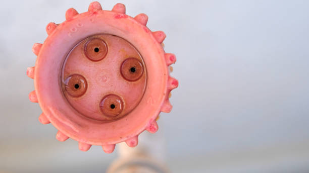istock Close-up of installed garden spray nozzle 1816556430