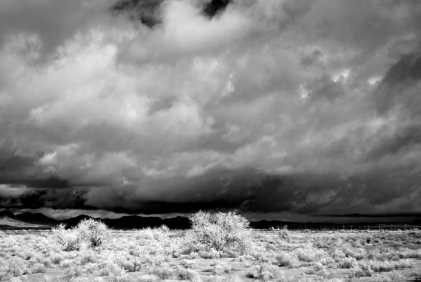 istock Storm Clouds Forming Sonora Desert Arizona 1816567114