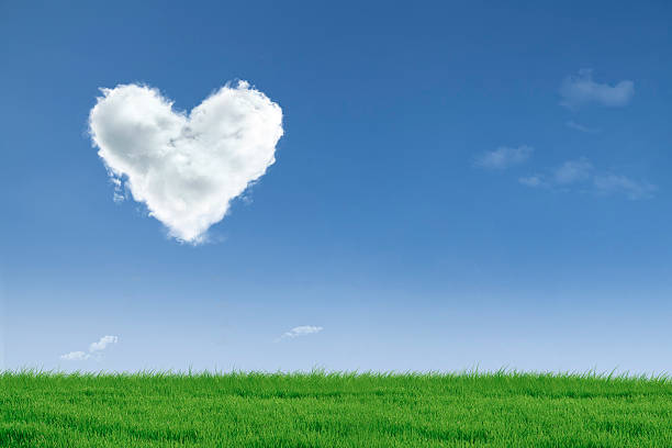 istock Love valentine day field 181656832