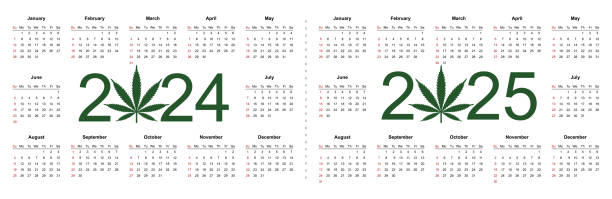 Marijuana Calendar For 2024 And 2025 Year Medical Cannabis Simple Marijuana Calendar For 2024 And 2025 Year Medical Cannabis Simple Vector Template 