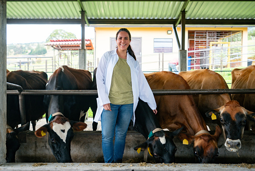 Happy Latin American veterinary working with cows at a cattle farm and looking at the camera smiling