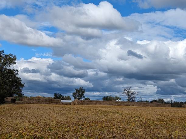 istock Clouds over a field in Bucks County, Pennsylvania 1816616546