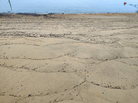 Focus on beach pollution
